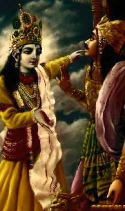 The Gita Condensed