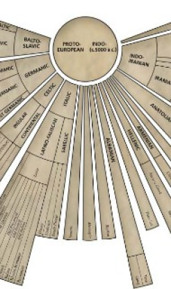 The Issue of the  Proto-Indo-European Language
