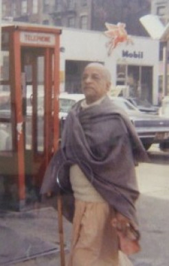 Visitor From Calcutta