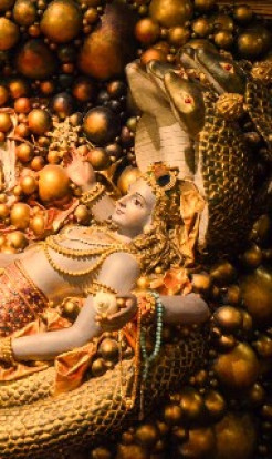 Evolution Or Production?