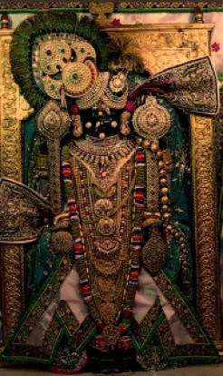 Krishna The God of Varieties