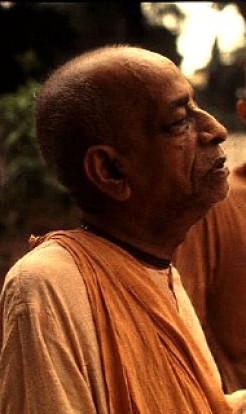 Compassion Well Placed