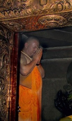 Practice Loving Krishna