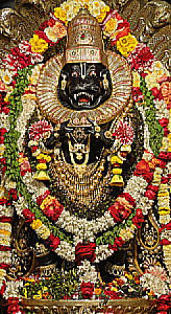 Nrsimhadev Nectar
