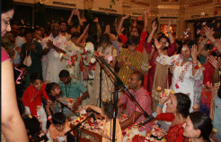 Kirtan Fest Houston 2025: A Youth Led Celebration of Devotion, Music, and Community