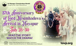 TOVP Celebrates the 37th Anniversary of Lord Nrsimhadeva’s Arrival in Sridham Mayapur