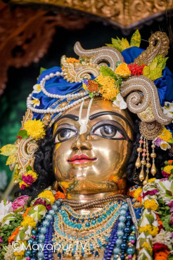 Mayapur – Kartik Deep Daan Sri Dham Mayapur (photos) 
