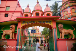 Kartik Nabadwip Mandal Parikrama 2025 – (photos)