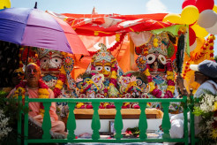 Lord of the Universe Rolls Through the Windy City as Chicago Celebrates its Rath Yatra