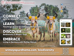 Biodiversity in Bhakti Yoga: A Devotional Offering