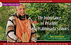The Importance of Reading Srila Prabhupada's Books