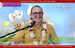 Srimad Bhagavatam 1.15.41, Speaker - HG Hari Sauri Das