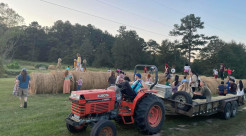 Cow Fest 2024: Honoring Cows & Community at New Talavana
