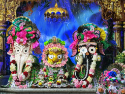 Snana Yatra Events Bathe Cities Around the World in Spiritual Bliss