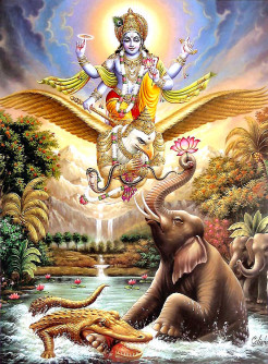 Gajendra Moksana story – HH Bir Krishna Goswami