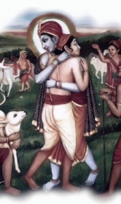 Krishna’s Sympathy