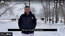 Ukrainian Farm receives 130 refugees overnight