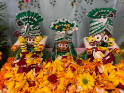 ISKCON Minnesota Makes History with First Annual Ratha-yatra