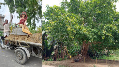 Mayapur Clean and Green Installs Water Pots to Combat Heat Wave