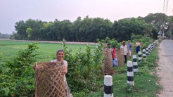 Mayapur Clean and Green Leads Tree Planting Drive in Sri Mayapur Dham