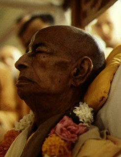 All Should Become Gurus: Prabhupada’s Vision for Posthumous Continuity