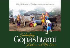 Online Program: Celebrating Gopashtami – Krishna and His Cows