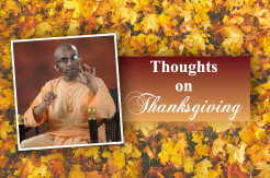 Thoughts on Thanksgiving and Gratitude