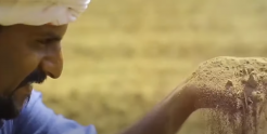 Bhaktivedanta University Launches Rural Initiative Blending Tradition and Innovation