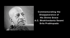 Honoring Srila Prabhupada: New Video Shares Rare Final Memories from His Disciples