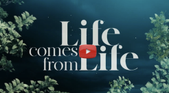 “Life Comes from Life” Video Explores Vedic Perspective on the Origin of Life