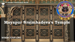 A Look at Mayapur Nrsimhadeva’s TOVP Temple