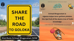 As Bhadra Purnima Draws Near, Devotees Worldwide are Energized to Share Srimad Bhagavatam