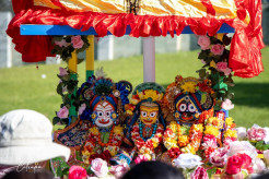 New Gokula Farm in Australia Celebrates Their 2024 Rath Yatra