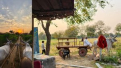 ISKCON Hosts National Cow Protection Conference in Ahmedabad