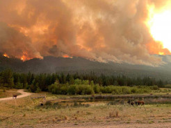 Saranagati Village in British Columbia Has Been Evacuated Due to Raging Local Wildfires; Prayers Requested