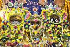 Lord Jagannath Sravana Festival Leads up to Central New Jersey Ratha Yatra