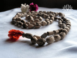 Yudhistir Govinda Das Shares with Times Now the Power of the Maha-Mantra