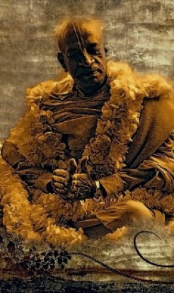 Dogs And Cats Don’t Need Freud