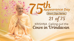 Krishna Calling out the Cows in Vrindavan | HH Radhanath Swami