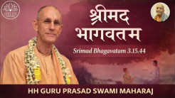 Srimad Bhagvatam 3.15.45 || HH Guru Prasad Swami || ISKCON Indore