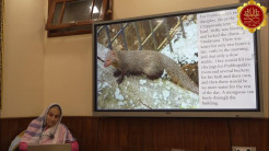 Srila Prabhupada Lilamrita || H.G. Daivi Shakti Mataji || 30.11.2025