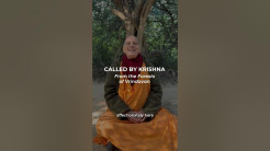 Called by Krishna / From the Forests of Vrindavan