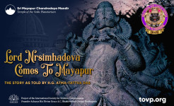 TOVP Presents: Lord Nrsimhadeva Comes to Mayapur