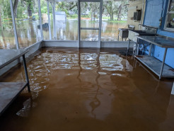 Iskcon Orlando Flooded and Needs Our Help