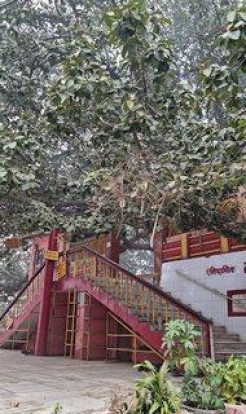 Shukratal Yatra and the Glories of Srimad-Bhagavatam