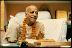 ISKCON 60–50 Launches Online Srila Prabhupada Study Course
