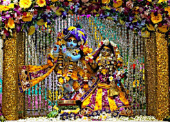 The Many Meanings and Forms of Sri Sri Radha Madhava