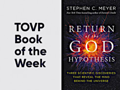 TOVP Book of the Week #8