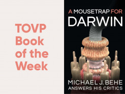 TOVP Book of the Week #14