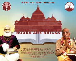 Announcing – The BBT/TOVP Books Are Bricks Campaign